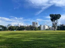 Blk 263 Toa Payoh Apex (Toa Payoh), HDB 3 Rooms #572623931